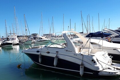 Alquiler Lancha Sea Ray 315 Estepona