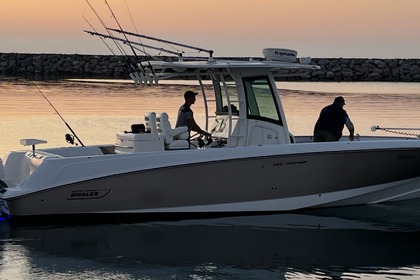 Miete Motorboot Boston Whaler Outrage 320 Saint-Cyprien