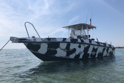 Rental Motorboat tinn silver 800 off-shore Le Grau-du-Roi