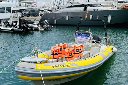 Чартер RIB (надувная моторная лодка) VIANAPESCA CONSTRUÇOES E REPARAÇÕES NAVAIS Sea Ribs 860PRO Пальма