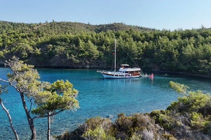 Hire Gulet Custom Made Marmaris