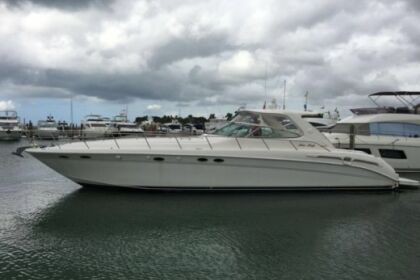 Rental Motorboat Sea Ray 54 La Romana