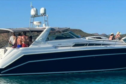 Miete Motorboot Sea Ray 50 La Paz