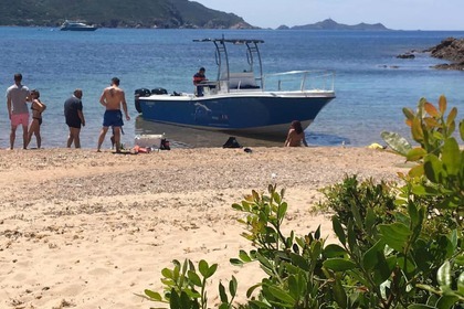 Location Bateau à moteur Mako 261b Calcatoggio