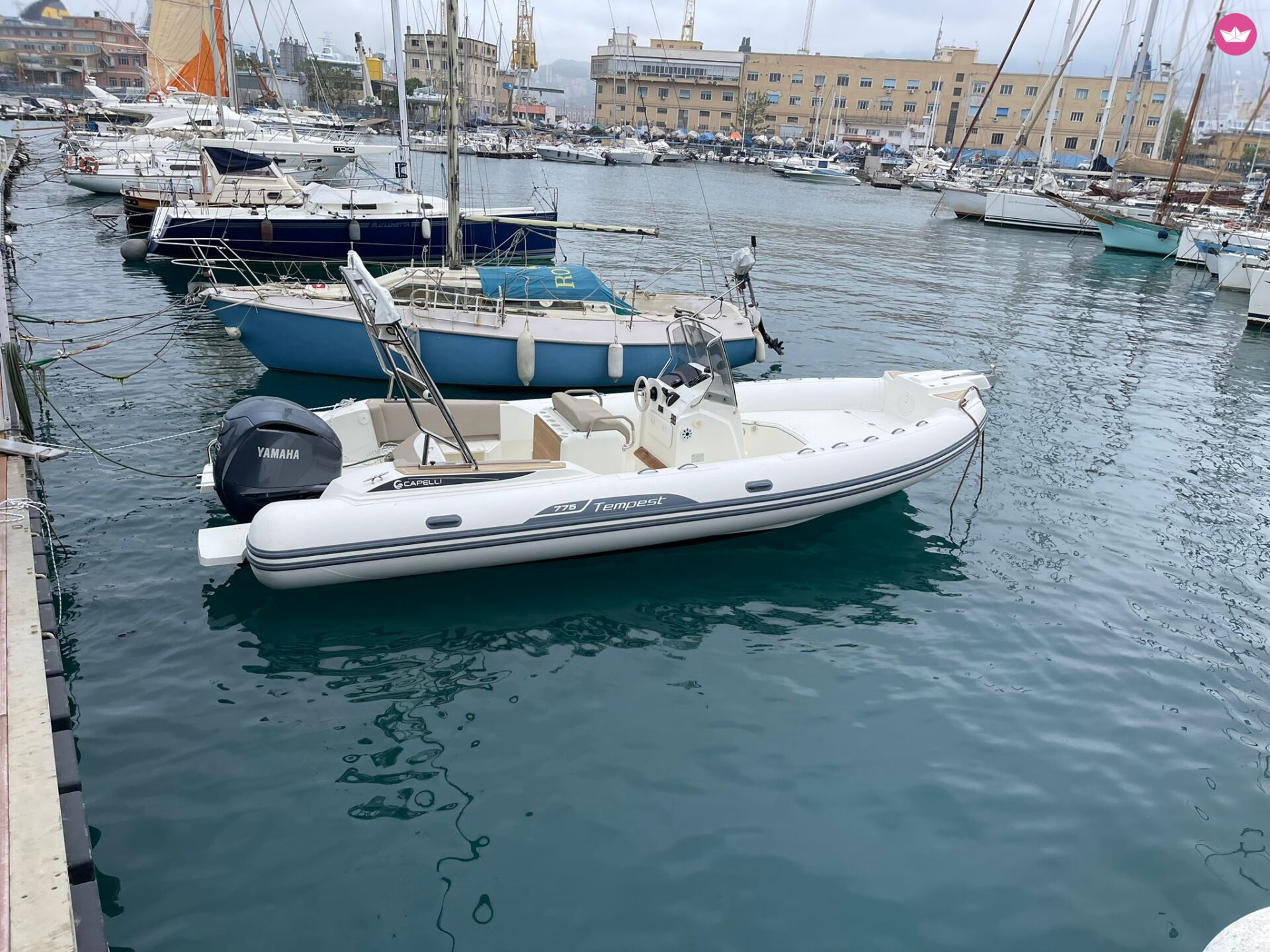 Semi-rigide Capelli Tempest 775 225cv 5
