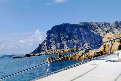 Charter Motorboat Sabatini Altair 25 Loiri Porto San Paolo