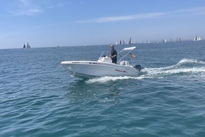 Rental Boat without license  remus 450 Alicante