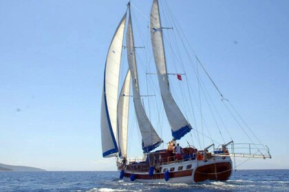 Miete Gulet Up to Date 2020 - 2000 Bodrum