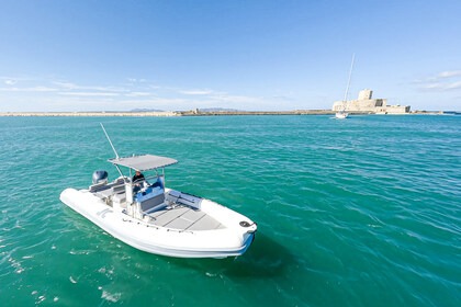 Noleggio Gommone Joker Boat Clubman 26 Trapani