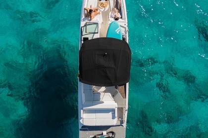 Charter Motorboat Sea Ray 290 Mahón