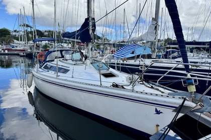 Charter Sailboat Gilbert Marine Gib Sea 106 Master Le Gosier