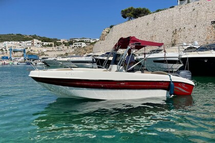 Noleggio Barca a motore Speedy 5.90 EVO Castro Marina