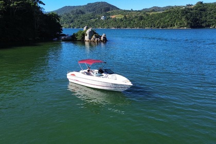 Hire Motorboat Cobra Cayman Pôrto Belo