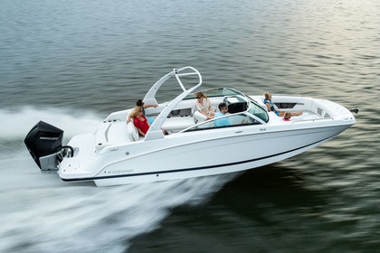 Charter Motorboat Deckboat 8 meters Four winns HD8 OB Cannes