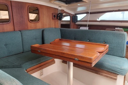 CATAMARAN ⛵️SAILING ISLA MUJERES