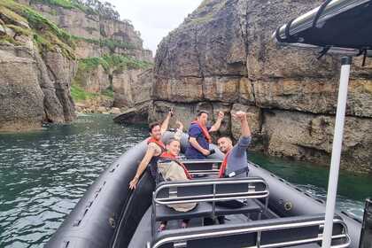 semirrigida 8 metros 300 cv