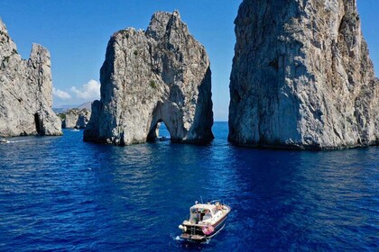 luxury yacht daily tour