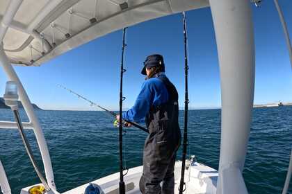 Charter Motorboat UXMarine UX Spin 2024 Simon's Town