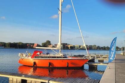 Czarter Jacht żaglowy Dufour 31 Szczecin