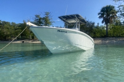 Miete Motorboot Boston Whaler Outrage 270 Cabo Rojo