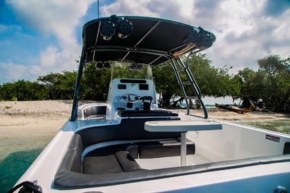 Luxury Boat all day 12 people in Cartagena