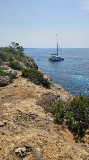 Palma de Mallorca Catamaran Fountaine Pajot Fountaine Pajot Saba 50 - 4 + 2 cab. alt tag text