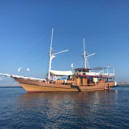 Charter Sailing yacht Ararauna Liveaboard Phinisi Boats Badjo