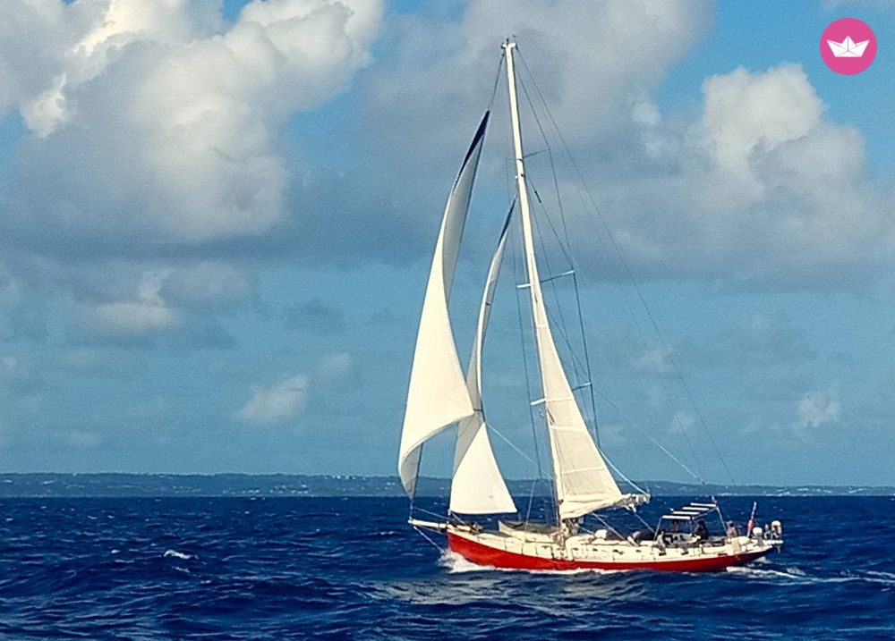 Voilier Amateur Dream 52 16m 8