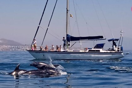 Alquiler Velero Pradere&Fills ROC Fuengirola