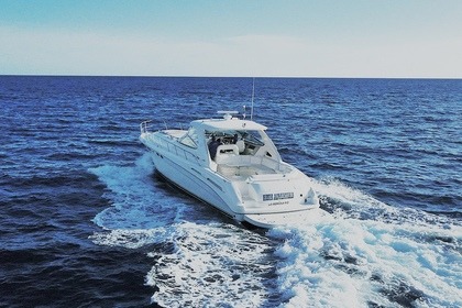 Alquiler Yate a motor Sea Ray 54 La Romana