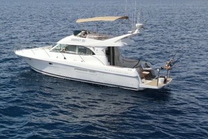 Charter Motorboat Jeanneau Prestige 36 Fly Supetar