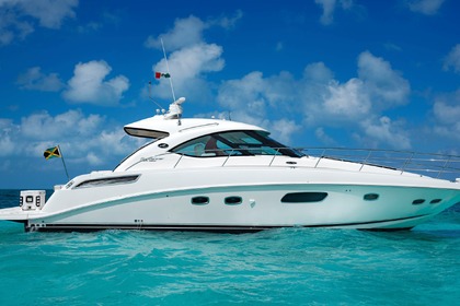 Noleggio Barca a motore Sea Ray 47 Cancún