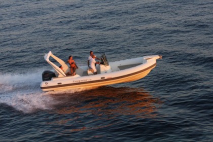 Hire RIB Capelli Capelli Tempest 770 Sun Palma de Mallorca