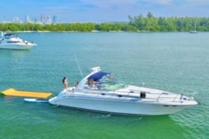 Charter Motorboat Miami Cruise - 46 Ft Party Cruiser, Includes - Floating mat, Paddle Board, Ice, Refreshments. Miami