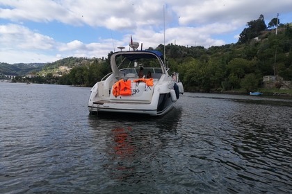 FEEL THE NATURE CRUISE