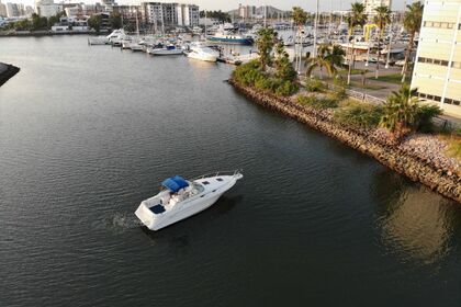 Charter Motorboat Sea Ray 270 Mazatlán