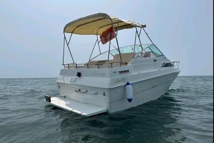 Hire Motorboat Sea Ray Cudy cabin Bar