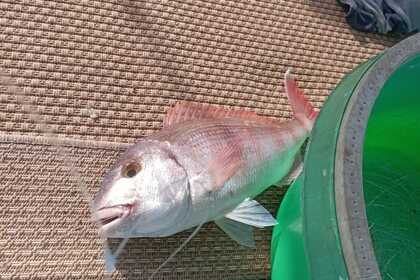 Fishing Trips Saronic 830