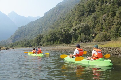 Northern Patagonia Experience