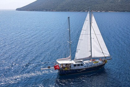 Hyra båt Guletbåt Luxury Gulet Charter Bodrum 2024 Bodrum