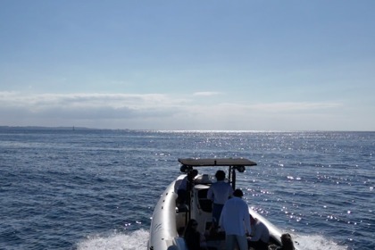 Hire RIB Bsc bsc 85 Trebeurden