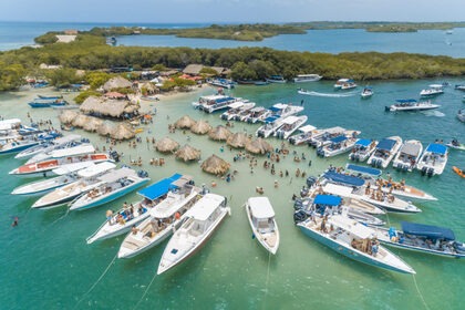 Leopard Catamaran 48'