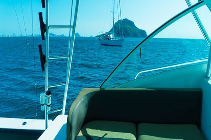 Luhrs 420 Sportfisher