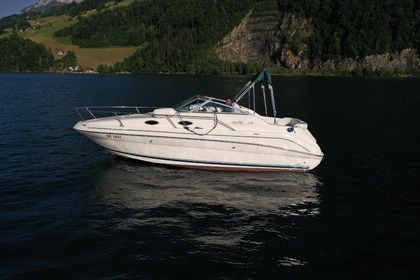 Hire Motor yacht Sea Ray 240DA Gersau