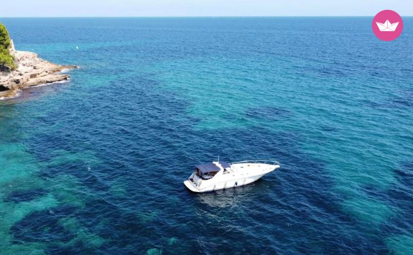 Bateau à moteur Sea Ray 450 Sundancer 460cv 3
