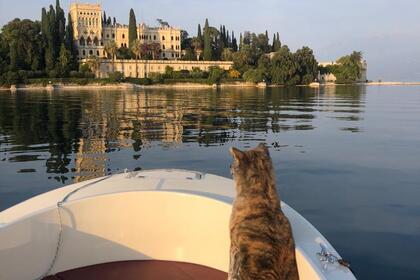 Charter Boat without licence  ELECTRIC BOAT Ecowatt 8 posti San Felice del Benaco