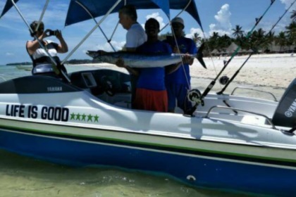 Rondleidingen en safari's in Panama