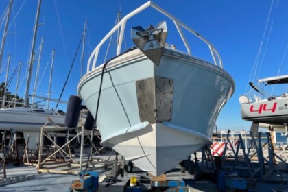 Tailor-Made Tours w/ Friendly Skipper!