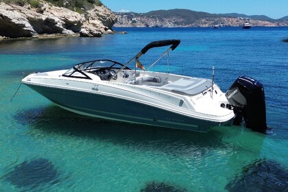 Bayliner VR6 con arco de Waveboard