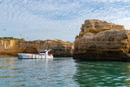 Catamaran Dolphins & Caves - Belize Terceiro